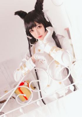 熊出没之猎鹰熊岛_DVD在线播放观看