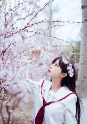 老炮儿之上阵父子兵短剧_4K高清视频观看
